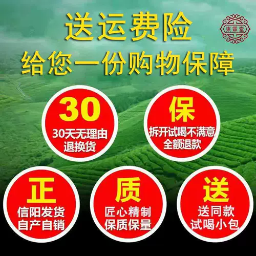Король жарен!Весь -зубчатый Xinyang Maojian 2024 Новый чай