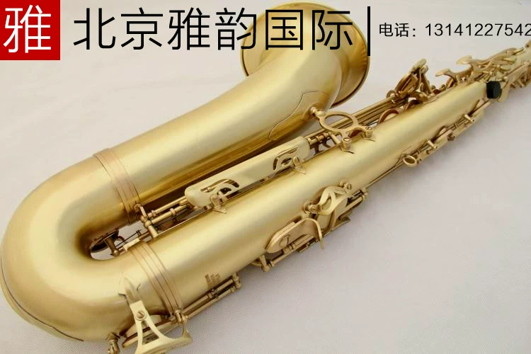 Authentic Salma 54 xuống B giai điệu tenor saxophone ống nhạc cụ STS-R54 nhạc cụ màu xanh lá cây bằng đồng chải - Nhạc cụ phương Tây