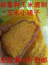 Northeast Jilin farmhouse produces 2021 new corn ballast 500g