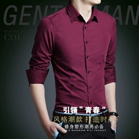 Обычный/винный красный