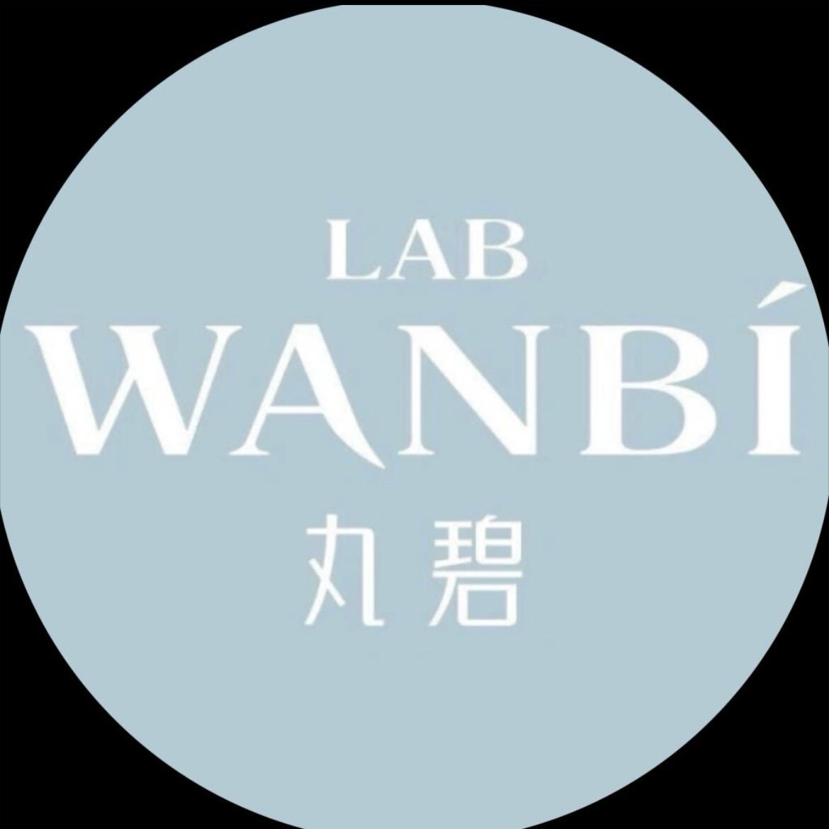 丸碧实体折扣店的LOGO
