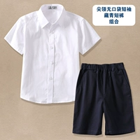 Точка -Без точки кармана+тибетские зеленые шорты