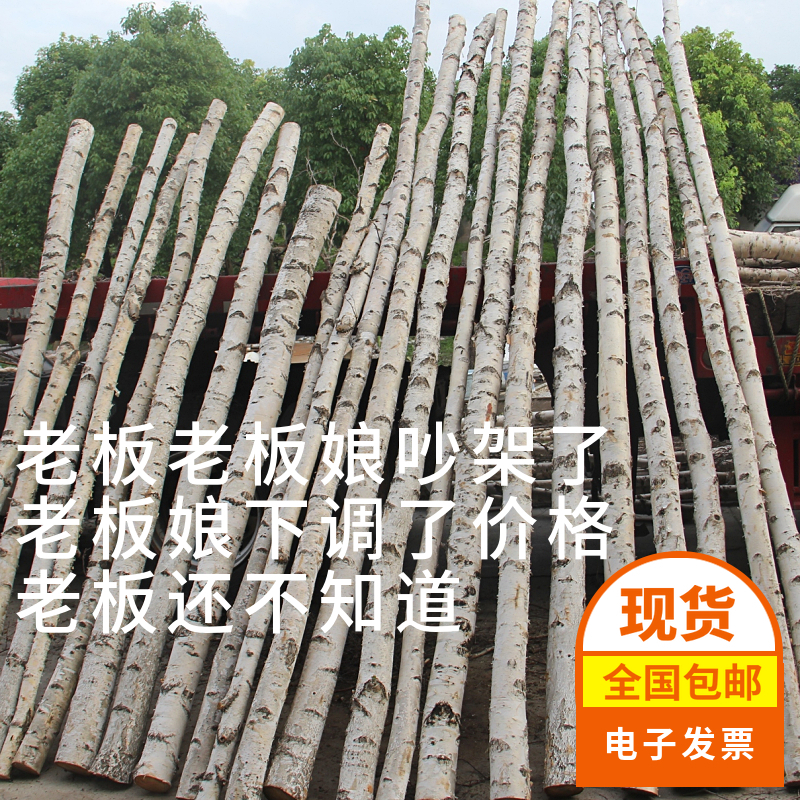 Tree trunk bookshelf Log birch tree decoration wood dry branch shape tree head screen Indoor living room partition