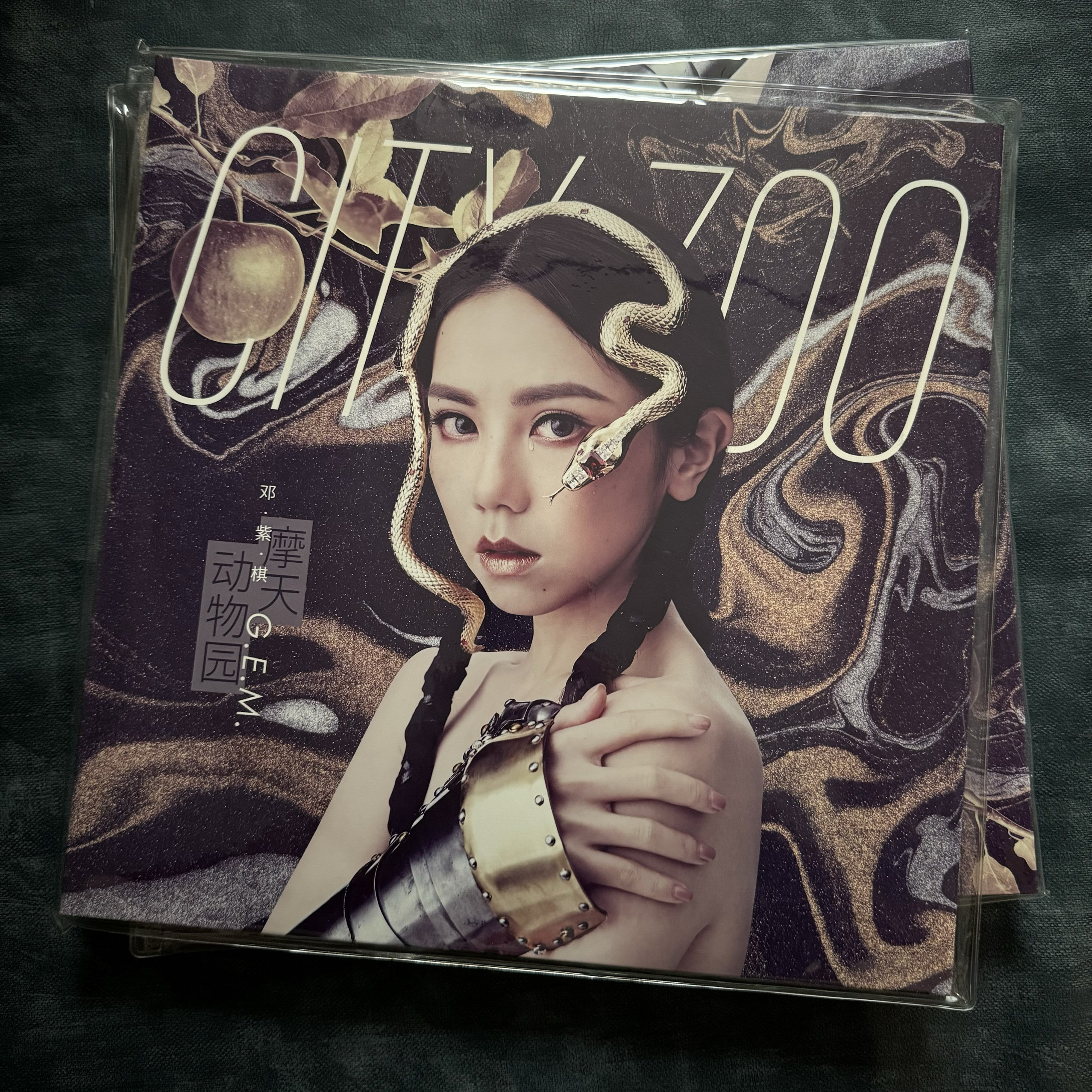 正版CoCo Lee李玟《你在我心上》30周年纪念专辑黑胶LP，红黑大理石彩胶