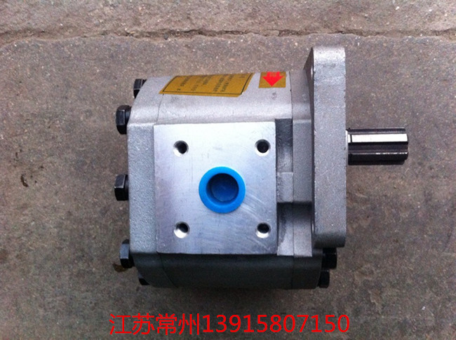Changzhou Hand-in-hand tractor large gear pump 532550