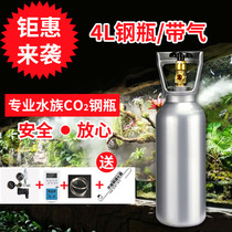 Carbon dioxide steel bottle Shandong construction steel bottle CO2 gas cylinder shepherding Dietz water grass cylinder refiner pressure reducing valve