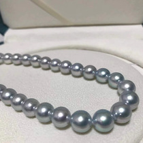 Japanese Agu Uk Akoya True Multitwist Rare 9 5-10mm thick silver blue pearl necklace true scientific research certificate