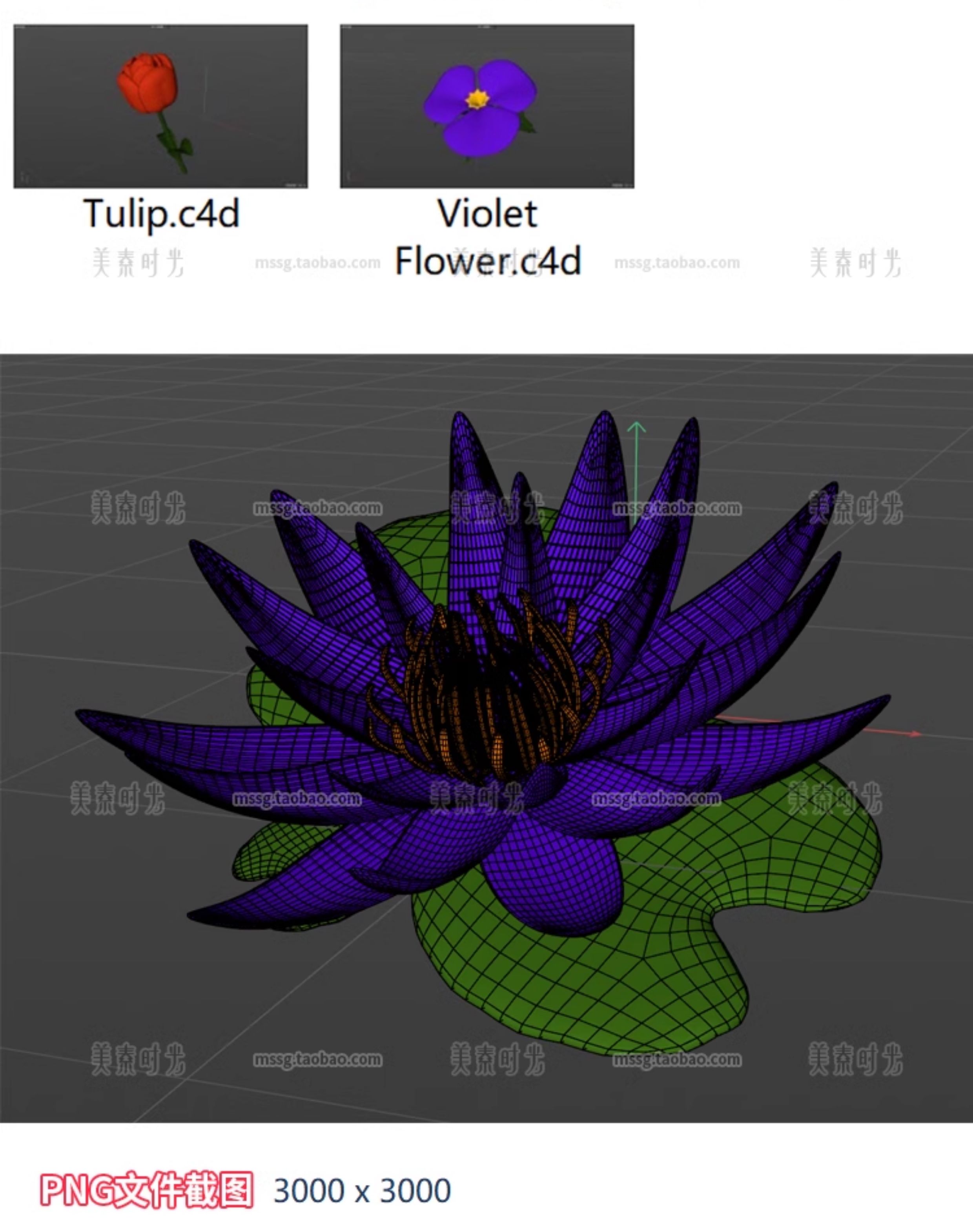 图片[4]-卡通花卉鲜花向日葵郁金香莲花菊花百合花朵3D立体C4D模型obj素材-cg男孩