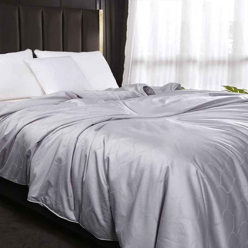 High-end Fuyun silk quilted by 100% mulberry silk winter quilted by Spring and Autumn Quilt 7A Class Spring Double Palace Cocoon Town Store Treasure-Taobao