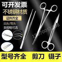 Stainless steel cupping tweezers special pliers alcohol cotton pliers pet hair plucking pliers straight elbow