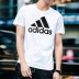 Adidas Adidas 19 mới đào tạo áo thun nam ngắn tay CD4864 DT9929 DX2490 - Áo phông thể thao