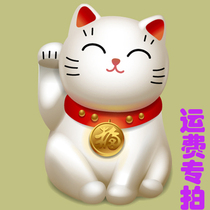 yun fei bu cha jia dedicated only to fill the post of use