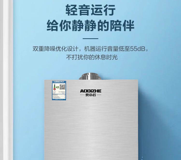 Газовый водонагреватель 正品平衡式燃气热水器家用液化气煤气款天然气洗澡恒温12升免水压 Zuanshihua