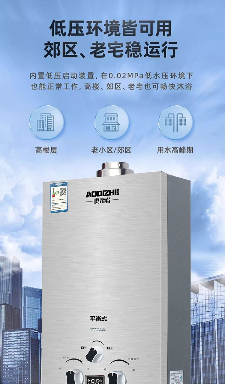 Газовый водонагреватель 正品平衡式燃气热水器家用液化气煤气款天然气洗澡恒温12升免水压 Zuanshihua