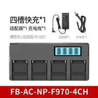 Чрезвычайно быстрая 4-слотовая быстрая зарядка. Универсальная для F970/750/550.