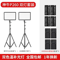 Два -ламп стандарт поддержки +4400 мАч аккумуляторного зарядного устройства