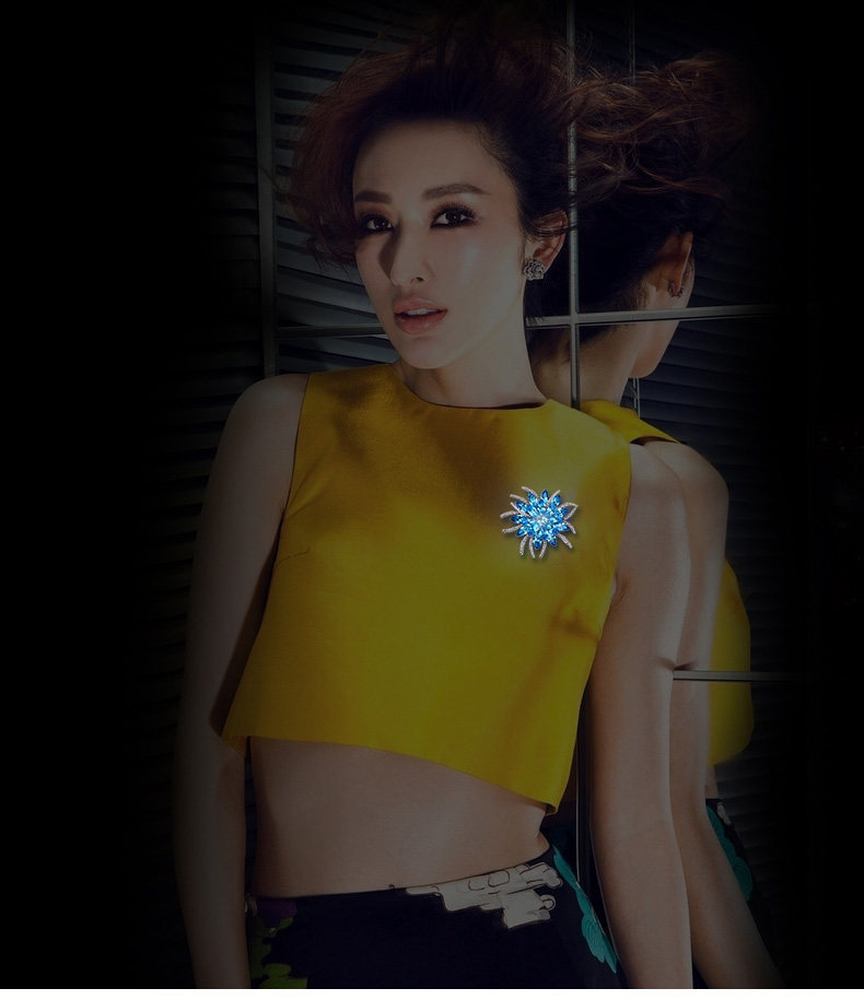 Broche femme en Zircon diamant - Ref 1174032 Image 18