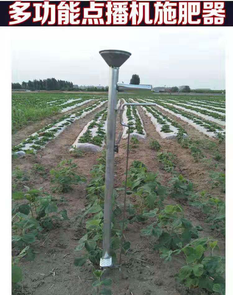 Small seeding Sub-ware Point seed Sowing Machine Ordering of Corn Precision Casting