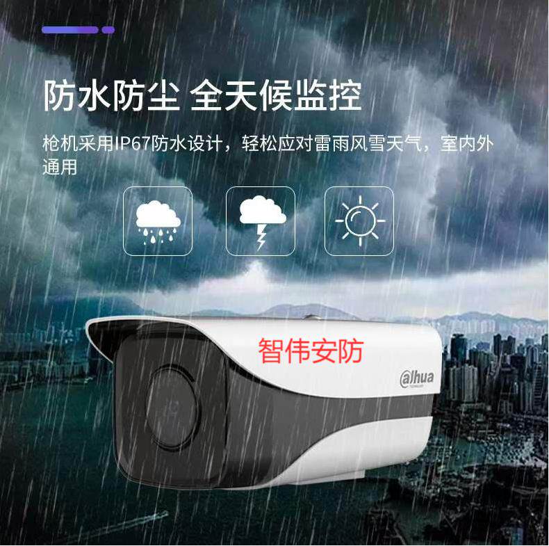 Dahua Star Light Audio SD Card 2 million infrared network camera DH-IPC-HFW2233DM-AS-I4