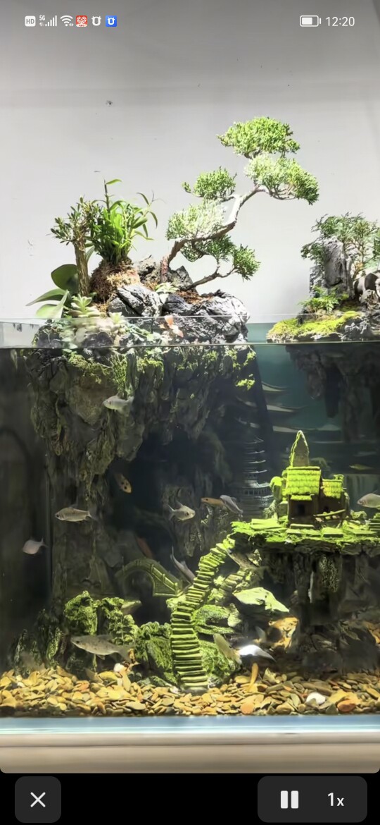 英德英州景观园林