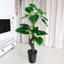 Fake Tree Hair Treasure Tree Emulation Plant Indoor Living Room Decoration Fake Potted Plant Large Floor Green Planting Plastic Bonsai Pendulum