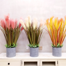 Simulation of reed grass fake flower living room Net Red Dog tail plant potted dried flower big bunch landing Nordic home decoration