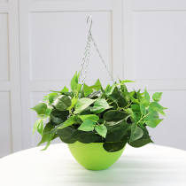 Wall-mounted plant simulation Green set living room indoor green plant decoration hanging fake flower rattan plastic basket potted