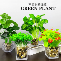 Simulation plant fake glass ornaments living room office desktop small potted indoor decoration flower meat home accessories
