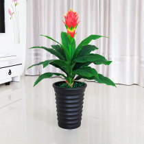 Fake Flowers Hong Transport When Head Hair Treasure Tree Emulation Plant Plastic Flowers Fake Trees Large Floor Potted Room Living-room Furnishing
