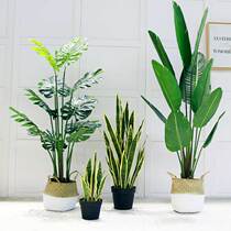 Simulation Plant Brigade People Banana Tree Tortoise Back Leaf Fake Green Planting Potted Indoor Living Room Large Floor Bonsai Decoration Pendulum