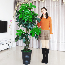 Fake Tree Hair Treasure Tree Emulation Plant Floor Potted Plant Large Living Room Bonsai Fake Flower Plastic Flower Decoration Simulation Green Plant