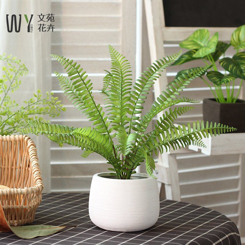 Simulation Of Green Plants Potted Small Ornaments Decorative Fake