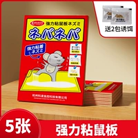 5 Zhang Qiangli Pleachy Board Mouse