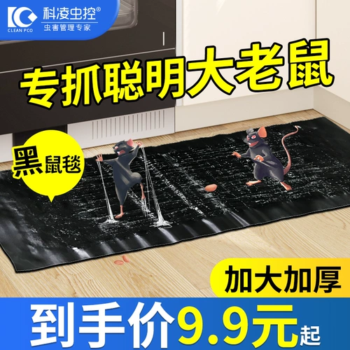 Наклейка мыши Сильная липкая мышиная пластина захватывает большой мышь супер сильный одеял мыши подлинное домашнее не -токсичное и мышиное ловцовое артефакт