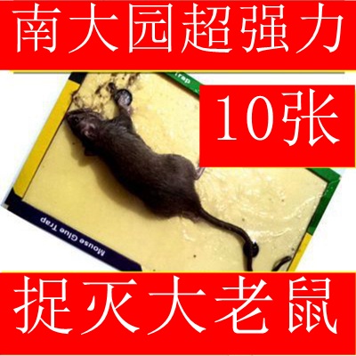 10 pieces of mouse artifact tracking paste Buster Efficient sticky rat board Catch rat stick rat stick Rat trap Home farm