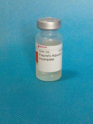弗氏不完全佐剂 sigma原装 10ml/瓶