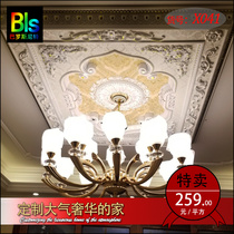 European light pool living room ceiling shape ceiling lamp plate decoration material non-gypsum line ceiling line x041