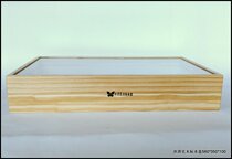 Insect butterfly shell ore universal specimen box 56*35*10CM SF land transport or Debang express