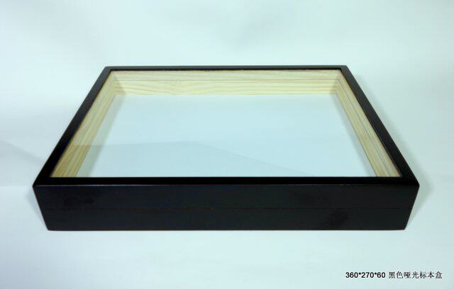 Insect Specimen Box Black Matt Baking Varnish 360 * 270 * 60MM Insect Butterfly Collection Specimen Box