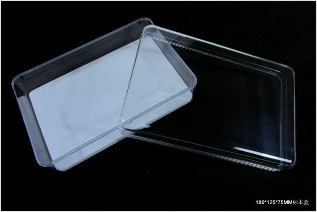 Transparent crystal insect specimen box Long square quality Good transparency High display effect Good and elegant 
