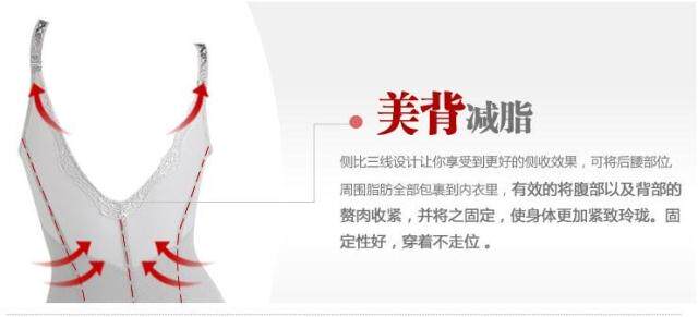 Body 1825+2569 en fibre - Ref 650129 Image 15