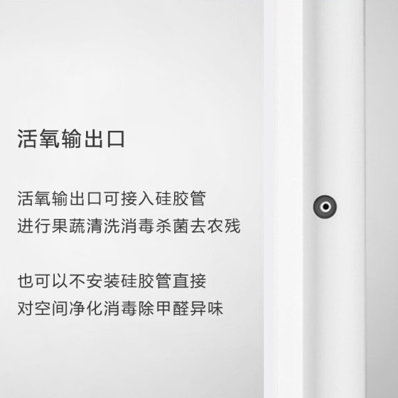 가정용 다기능 오존 과일, 야채 및 육류 해독 활성 산소 살균 및 야채 기계 청소로 살충제 및 호르몬 제거