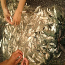 2 meters high and 100 meters long thick wire sinking net floating net three-layer fishing net sticky net hanging subnet white silk fishnet