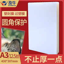 A3 plastic packaging film 12 5C12 5 silk thickness over plastic film protective film over plastic paper plastic packaging photo film 100 sheets