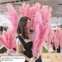 ins Reed dried flower bouquet festival wedding supplies Net Red Live home decoration living room floor window decoration