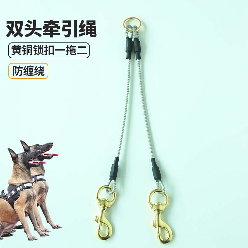 Pet dog leash large dog medium-sized double-headed two dogs one tow two pairs of steel wire walking dog rope supplies - Taobao