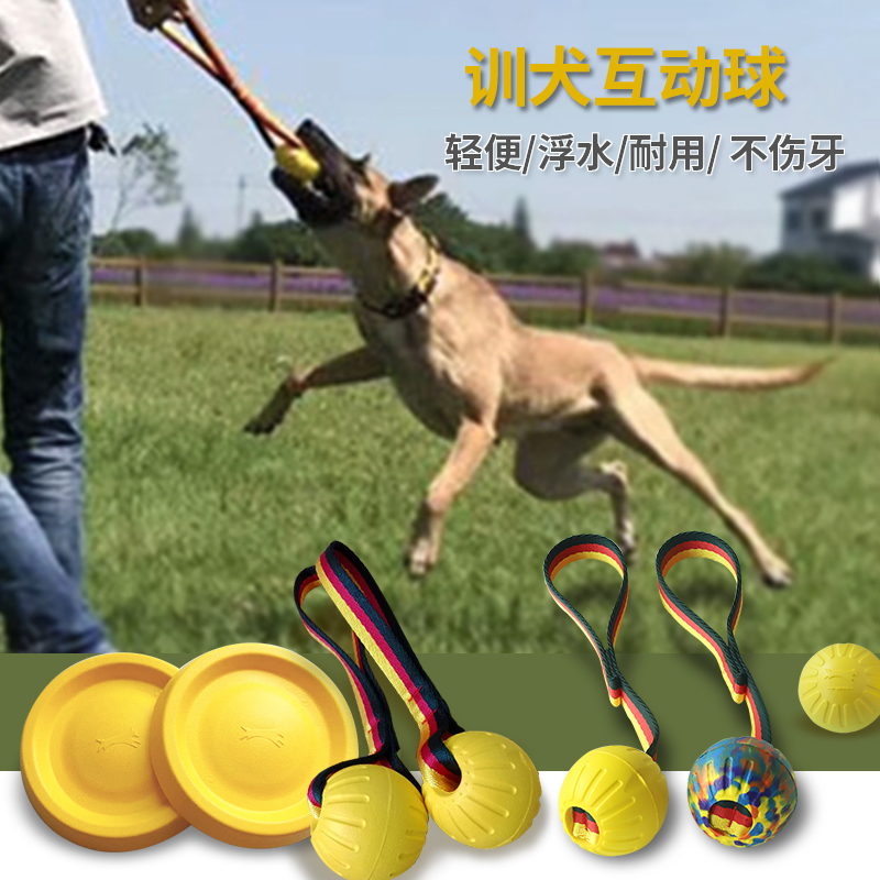 Pet training dog ball dog toy training dog flying disc pull ring sound sheet resistant to bite stick special horse dog Depasture training supplies-Taobao