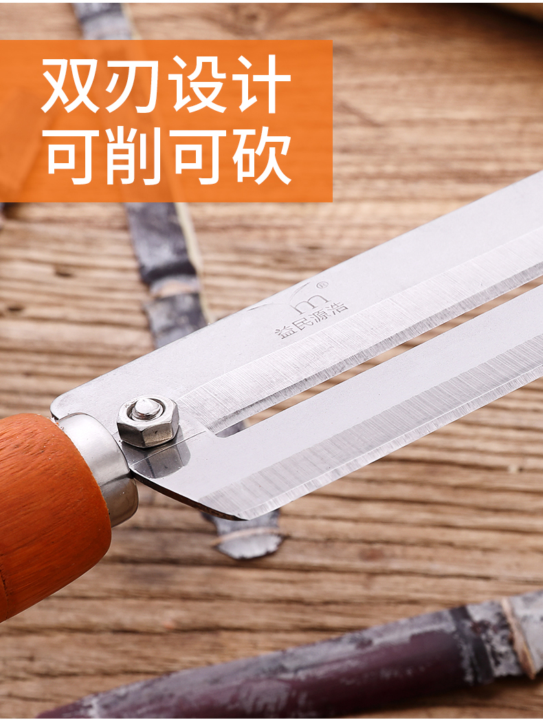 Gadget cuisine - couteau de canne - Ref 3405732 Image 13