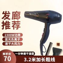Corant 663 electric blow dryer 2300W imported large motor negative ion blower