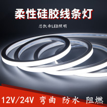 12v silicone shape Line light 24v casing waterproof embedded flexible atmosphere light 220V bright long strip
